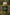challenge banner image