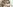 challenge banner image