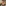 challenge banner image