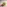 challenge banner image