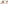 challenge banner image