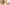 challenge banner image