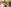 challenge banner image