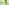 challenge banner image