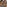 challenge banner image
