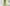 challenge banner image