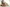 challenge banner image
