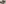 challenge banner image