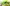 challenge banner image