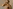 challenge banner image