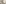 challenge banner image