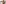challenge banner image