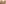 challenge banner image