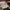 challenge banner image