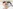 challenge banner image