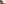 challenge banner image