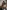 challenge banner image
