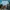 Glass Image Background