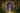 challenge banner image