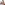challenge banner image