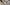 challenge banner image
