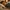 challenge banner image