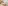challenge banner image