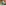 challenge banner image