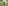 challenge banner image
