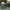 challenge banner image