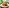 challenge banner image