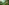 challenge banner image