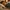 challenge banner image