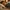 challenge banner image