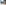 challenge banner image