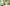 challenge banner image