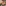 challenge banner image