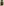 challenge banner image