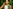 challenge banner image