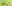 challenge banner image