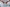 challenge banner image