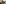 challenge banner image