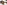challenge banner image