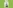 challenge banner image