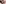 challenge banner image
