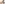 challenge banner image