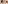 challenge banner image
