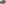challenge banner image