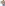 challenge banner image
