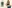challenge banner image